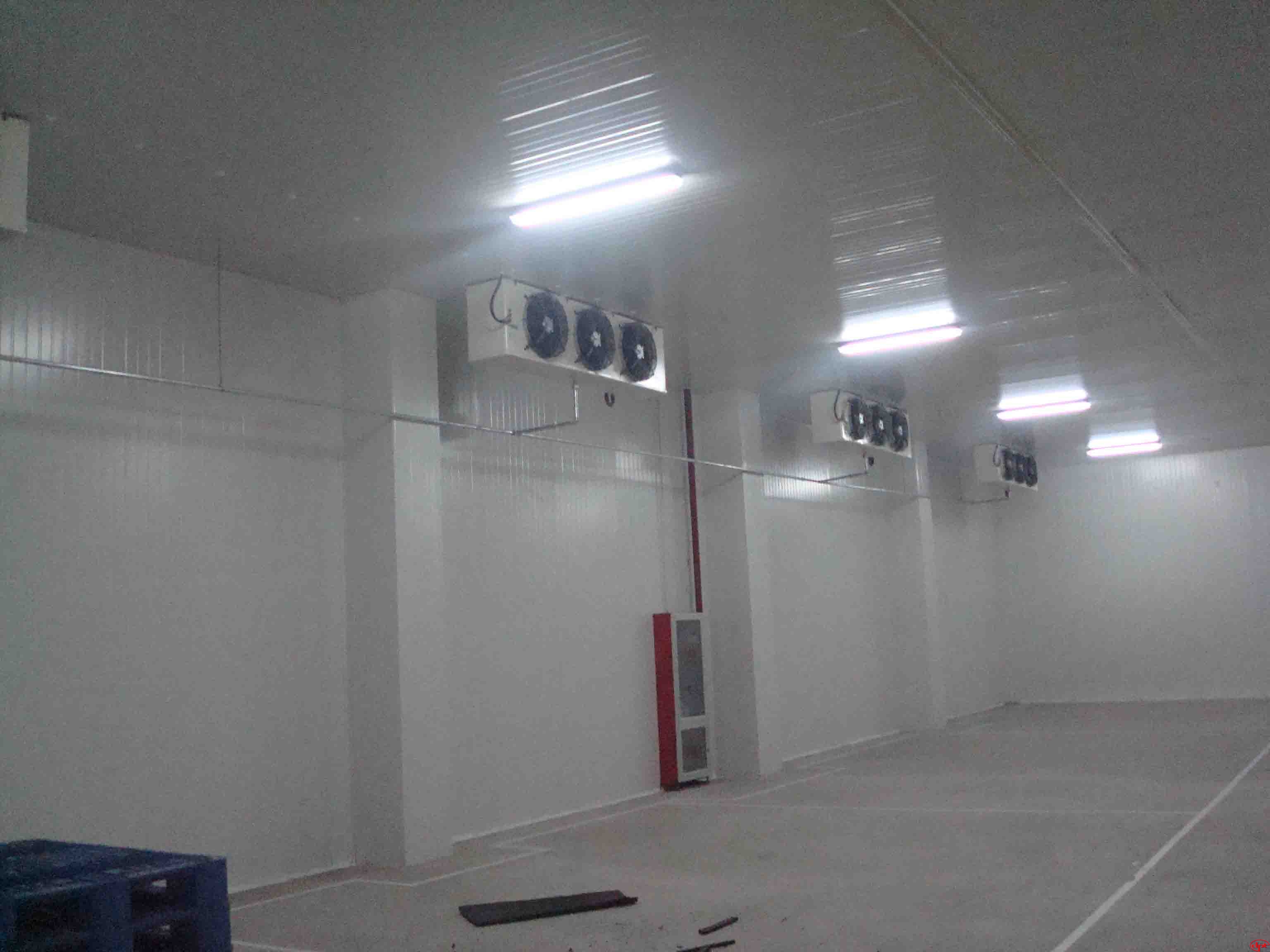 Cách sử dụng lò vi sóng để tiết kiệm điện