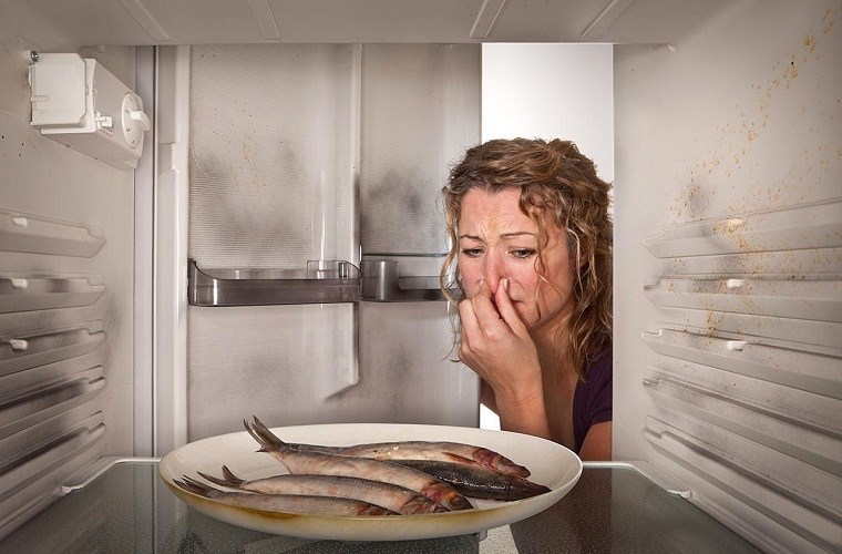 Tổng hợp các lỗi thường gặp ở tủ lạnh và cách khắc phục