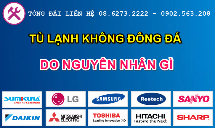 tu lanh khong dong da